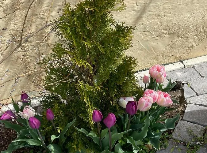 Wrolich Apartament Latschach ober dem Faakersee