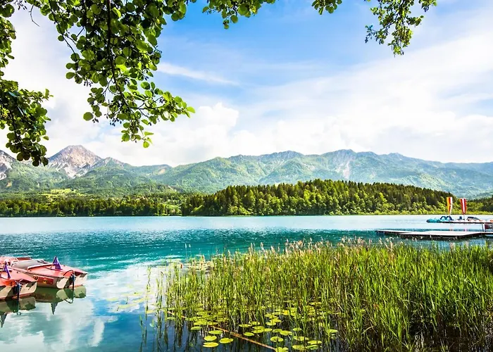 Apartament Wrolich *